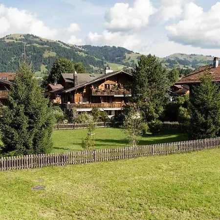 Cozy Place In Center Apartment Gstaad